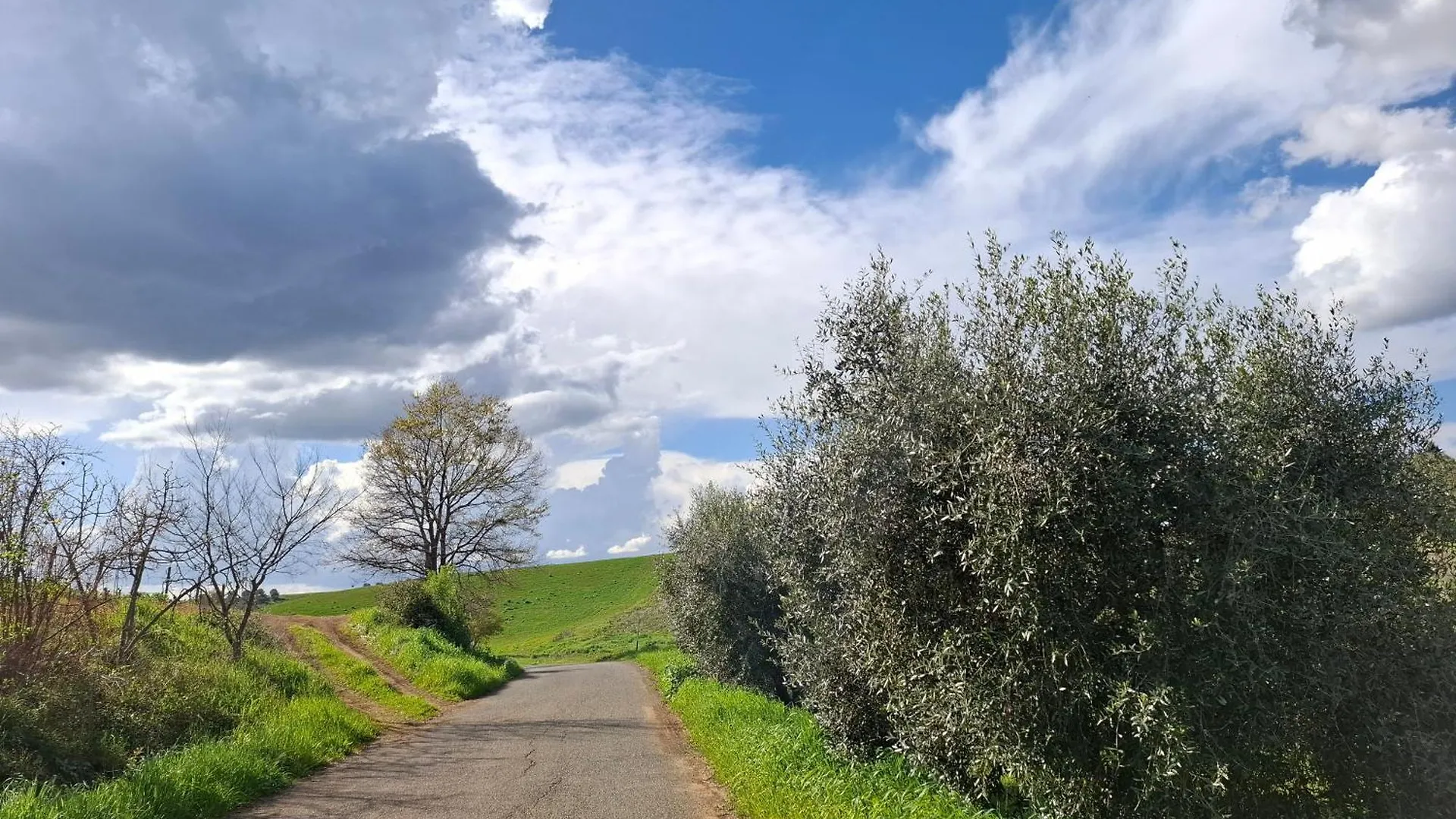 Apartment Appartamento Tra Il Mare E Le Terme Di Saturnia Montemerano